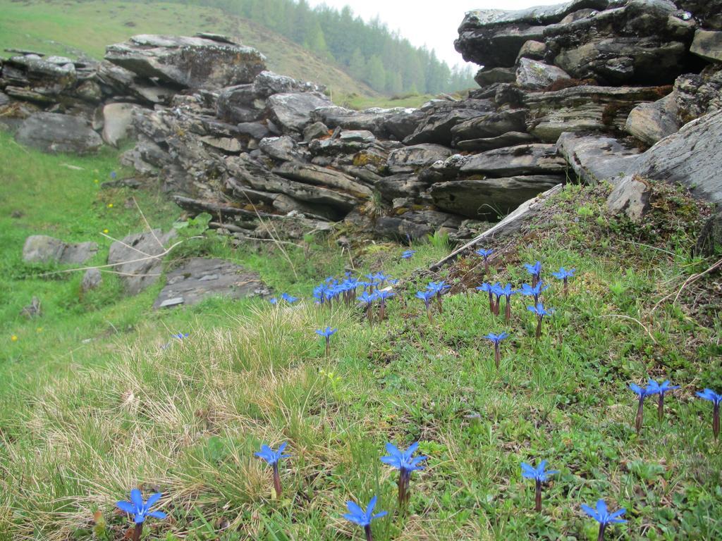 Landhaus Gassner Bruck an der Grossglocknerstrasse Bagian luar foto
